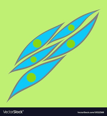 Flat showing type of muscle cells vector image