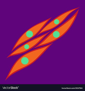 Flat showing type of muscle cells vector image