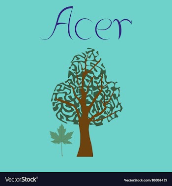 Flat stylish background plant Acer vector image