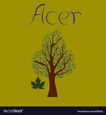 Flat stylish background plant acer vector image