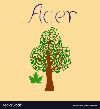 Flat stylish background plant acer vector image