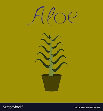Flat stylish background plant aloe vector image