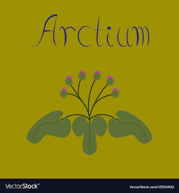 Flat stylish background plant arctium vector image