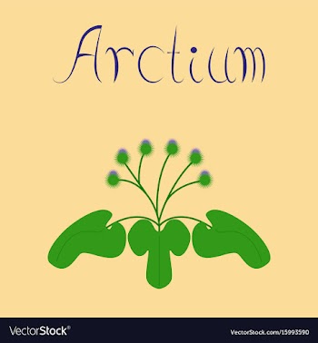 Flat stylish background plant arctium vector image