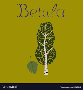 Flat stylish background plant betula vector image