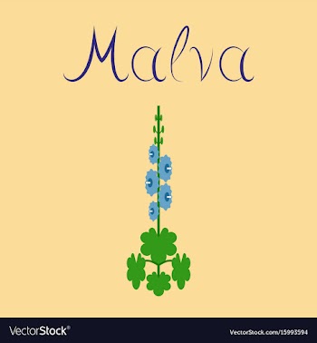 Flat stylish background plant malva vector image