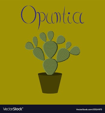 Flat stylish background plant opuntia vector image