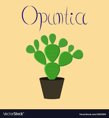 Flat stylish background plant opuntia vector image
