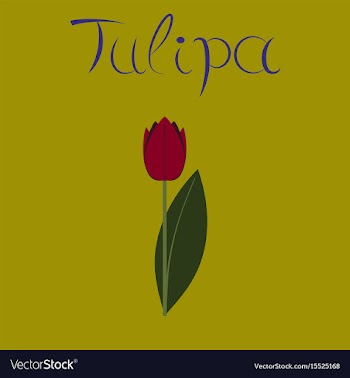 Flat stylish background plant tulipa vector image