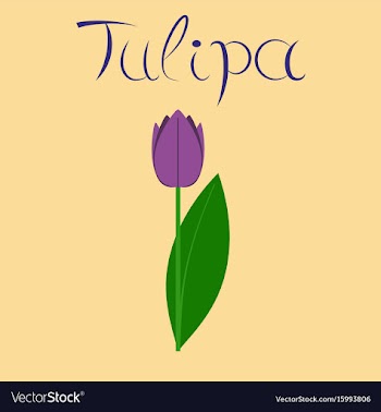 Flat stylish background plant tulipa vector image