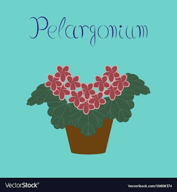 Flat stylish background plant vector image