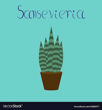 Flat stylish background plant vector image
