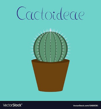 Flat stylish background plant vector image