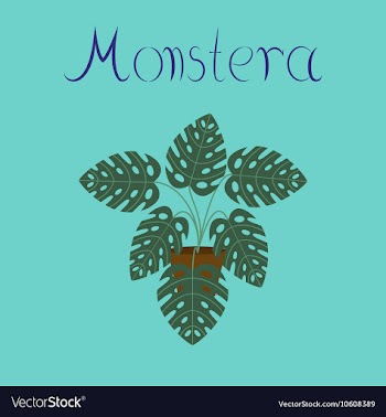 Flat stylish background plant vector image