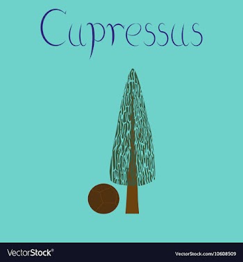 Flat stylish background plant vector image