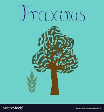 Flat stylish background plant vector image