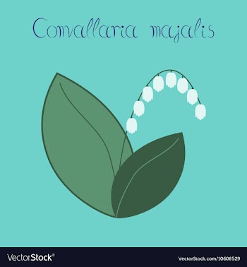 Flat stylish background plant vector image