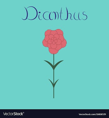 Flat stylish background plant vector image