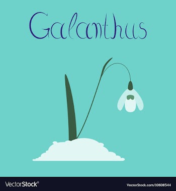 Flat stylish background plant vector image
