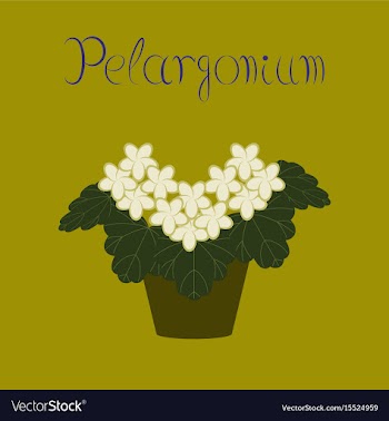 Flat stylish background plant vector image