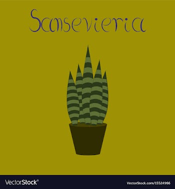 Flat stylish background plant vector image