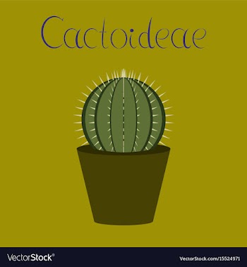 Flat stylish background plant vector image