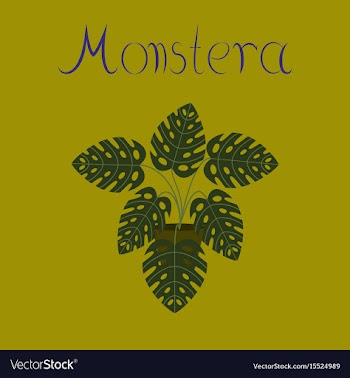 Flat stylish background plant vector image