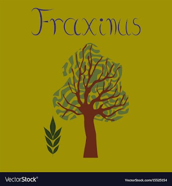 Flat stylish background plant vector image