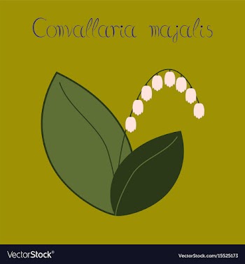 Flat stylish background plant vector image