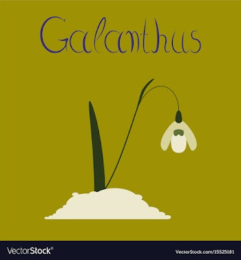 Flat stylish background plant vector image