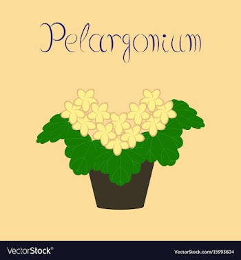 Flat stylish background plant vector image