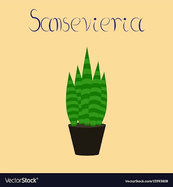 Flat stylish background plant vector image