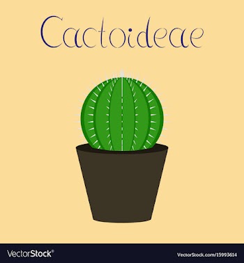 Flat stylish background plant vector image
