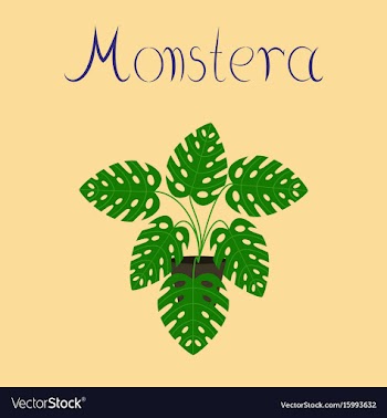 Flat stylish background plant vector image