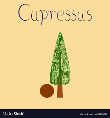 Flat stylish background plant vector image