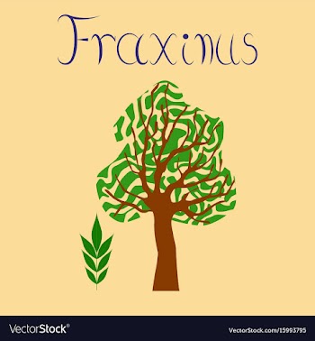 Flat stylish background plant vector image