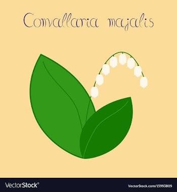 Flat stylish background plant vector image