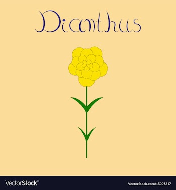Flat stylish background plant vector image