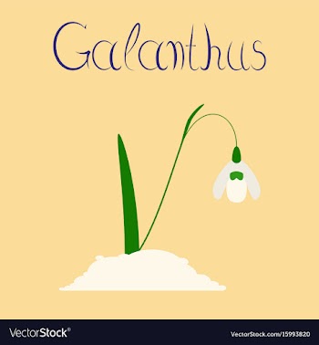 Flat stylish background plant vector image