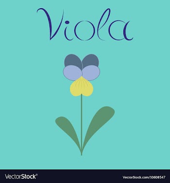 Flat stylish background plant Viola vector image