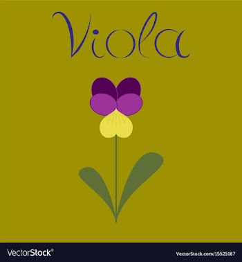 Flat stylish background plant viola vector image