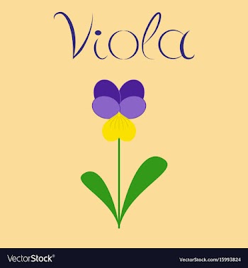 Flat stylish background plant viola vector image
