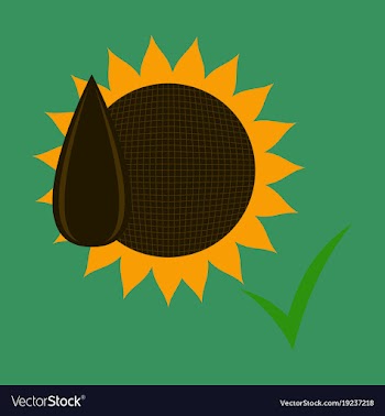 Flat sunflowers and seeds symbol isolated on vector image