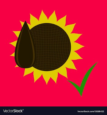 Flat sunflowers and seeds symbol isolated on vector image