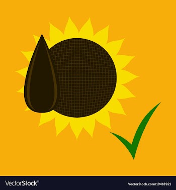 Flat sunflowers and seeds symbol isolated on vector image