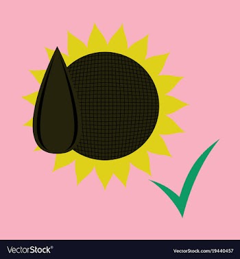 Flat sunflowers and seeds symbol isolated on vector image