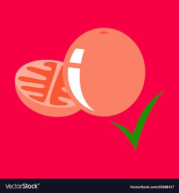 Flat tomato isolated on background vector image