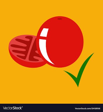 Flat tomato isolated on background vector image