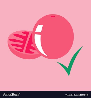 Flat tomato isolated on background vector image