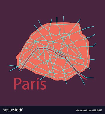 Flat urban city map of paris france vector image